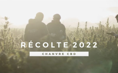 [VIDÉO] Revivez la récolte 2022 du Chanvre Cévenol en images