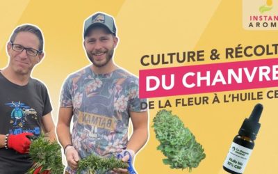 [VIDÉO] Le Chanvre Cévenol invite Vanessences à découvrir la culture du chanvre