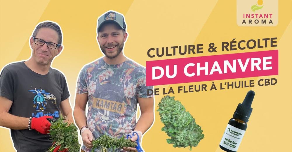 [VIDÉO] Le Chanvre Cévenol invite Vanessences à découvrir la culture du chanvre