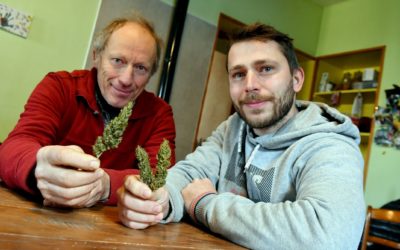 Midi Libre : Le chanvre cévenol, l’engouement pour le CBD exploité par Mathieu et Antonin
