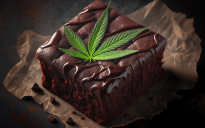 Recette : Space Cake CBD au chocolat