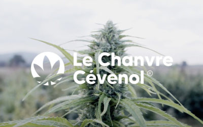 [PLAYLIST #1] Le Chanvre Cévenol vous offre 20mn de Good Vibes