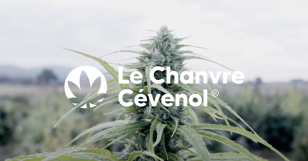 [PLAYLIST #1] Le Chanvre Cévenol vous offre 20mn de Good Vibes