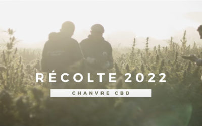 [VIDÉO] Revivez la récolte 2022 du Chanvre Cévenol en images