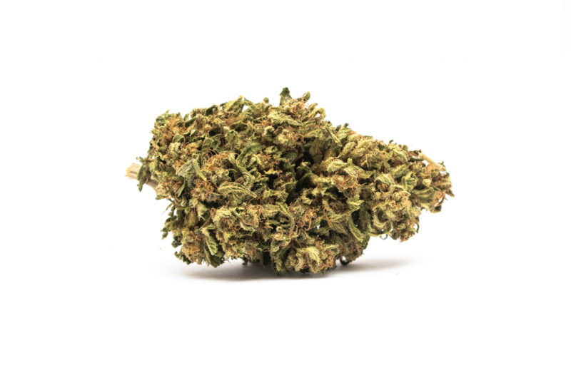 Amnesia CBD 10%