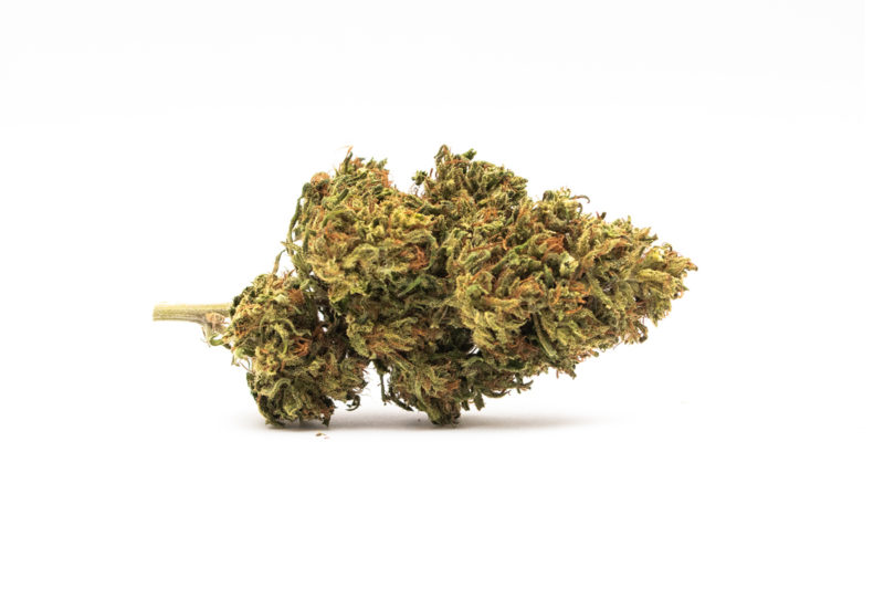 Fleur Skunk CBD 12% Le Chanvre Cévenol